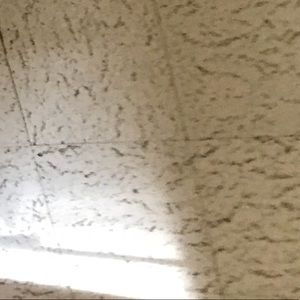 Meet your Posher, Glenda